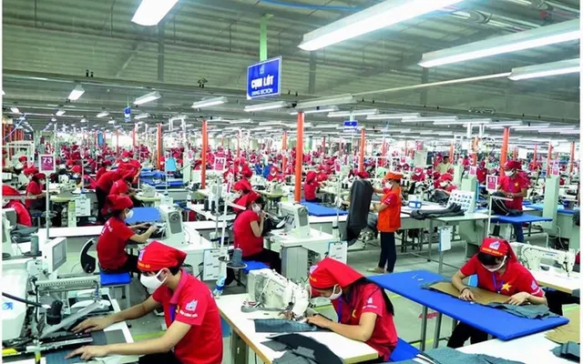 Chuyện xuất khẩu ngành may: Những điểm nghẽn dữ liệu từ nhà máy