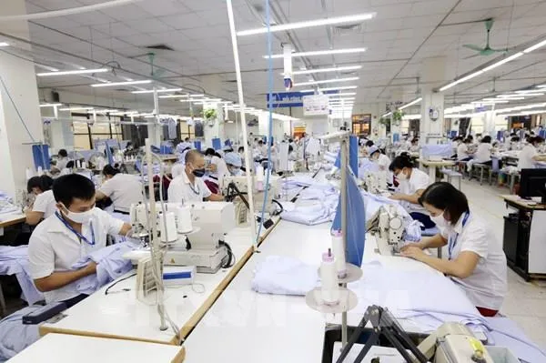 Phần mềm quản lý sản xuất ngành may: Giải pháp thay thế sổ sách